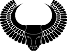 Logo for The Flying Bull Academy